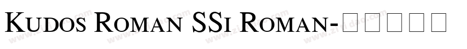 Kudos Roman SSi Roman字体转换